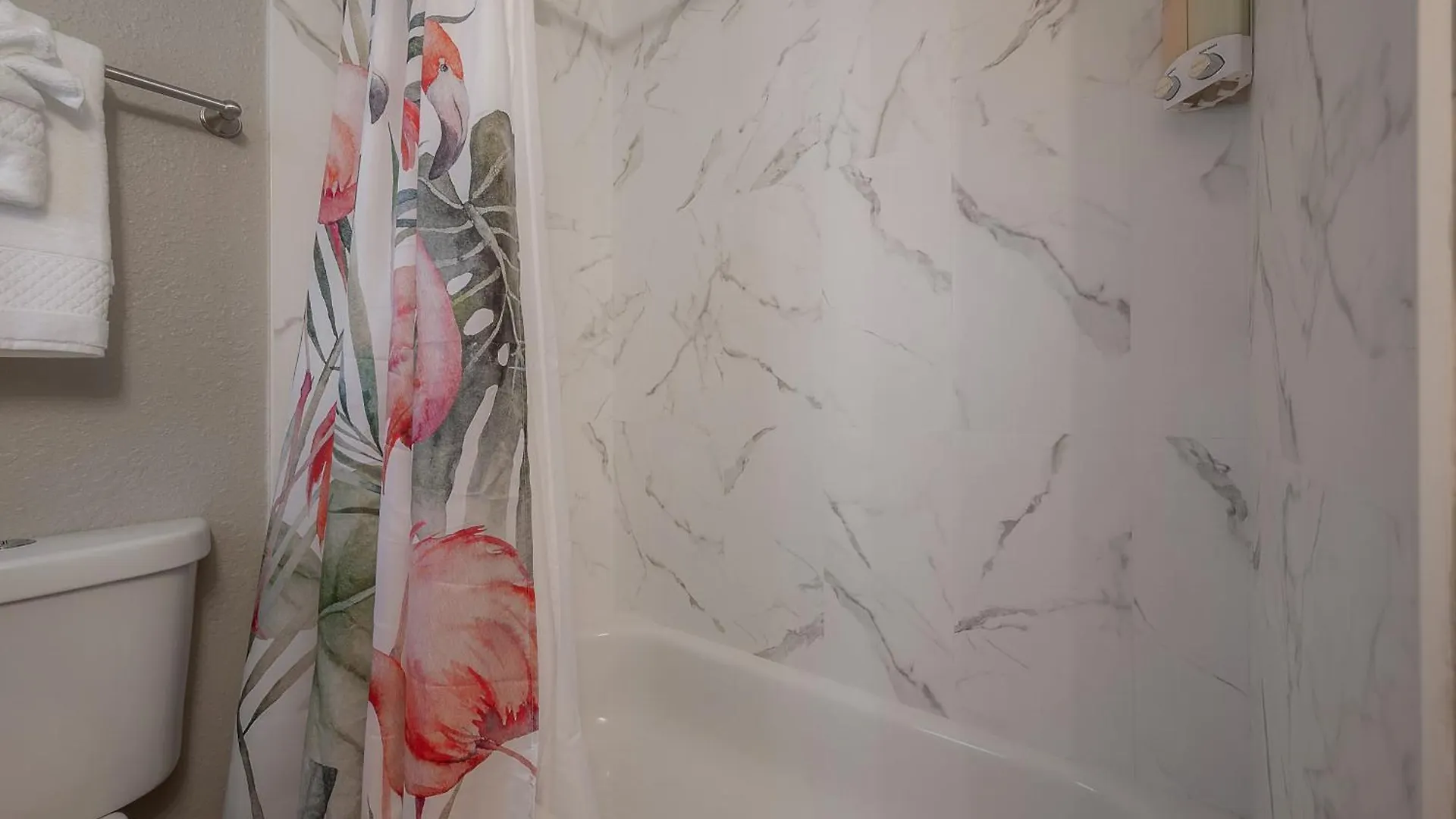 Charming Studio Apartment In West Tampa Perfect For Couples 1576 USA