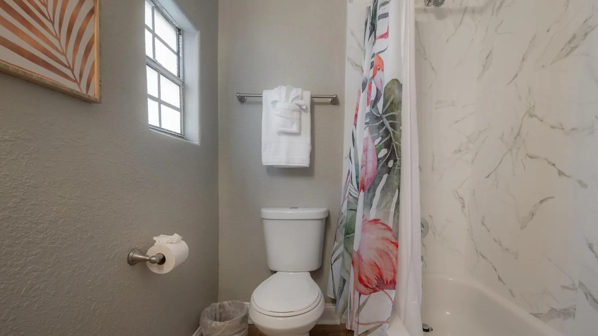 Charming Studio Apartment In West Tampa Perfect For Couples 1576 0*,  USA